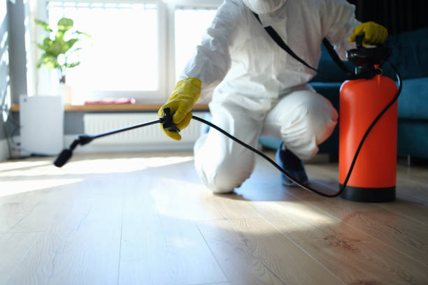 Reliable Odor Removal contractor in Greenfield, IL by Trauma Clean Pros